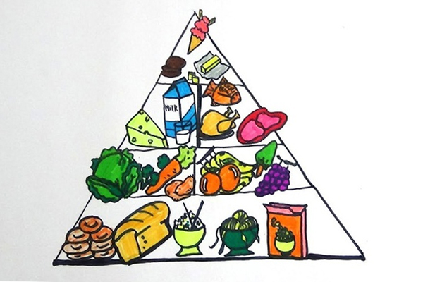 Food Pyramid